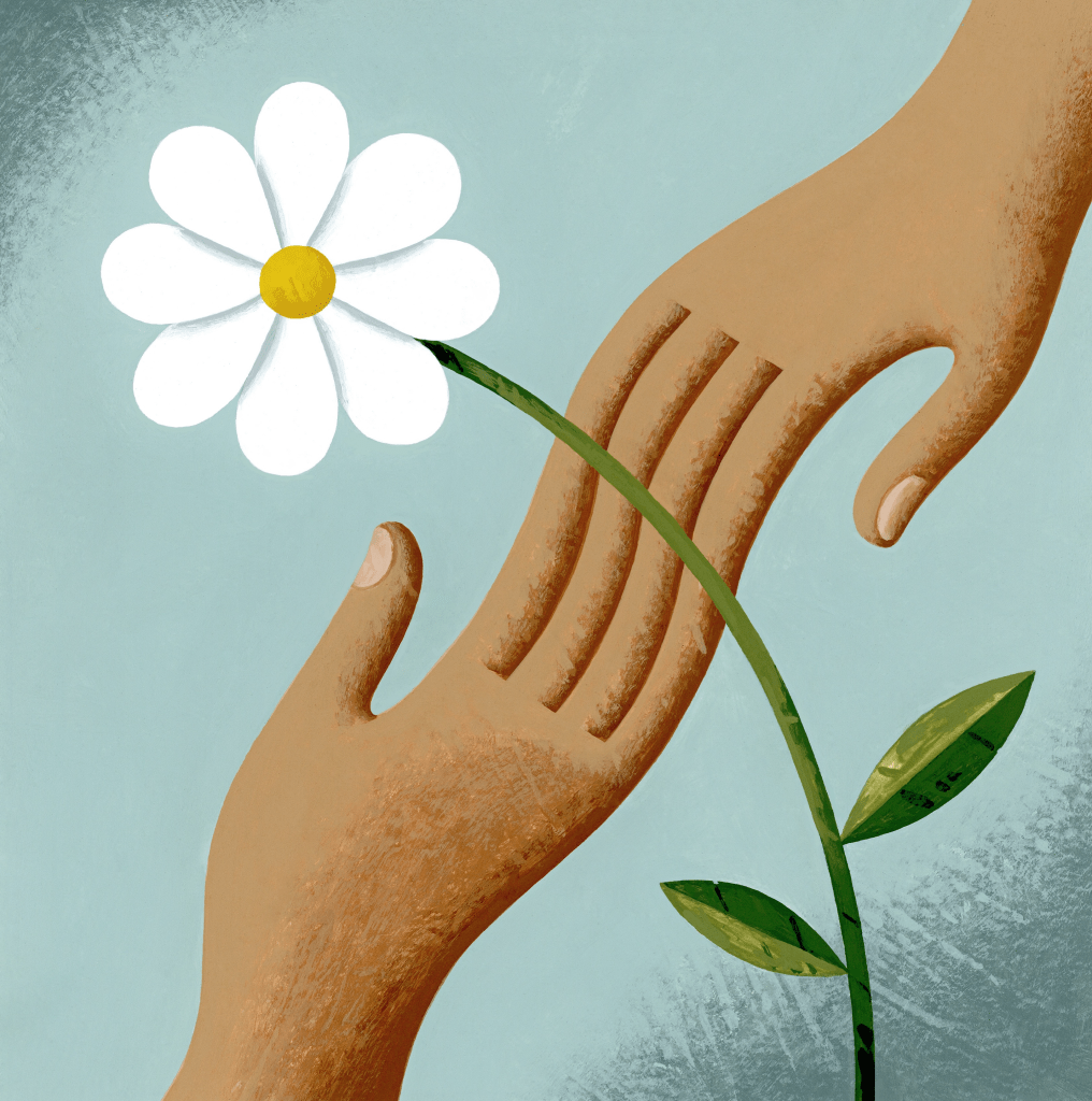 two hands merging in each other and over them is a white flower